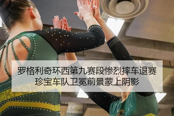 luo-ge-li-qi-huan-xi-di-jiu-sai-duan-can-lie-shuai-che-tui-sai-zhen-bao-che-dui-wei-mian-qian-jing-meng-shang-yin-ying-3-589.jpg